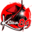 MAXWIN